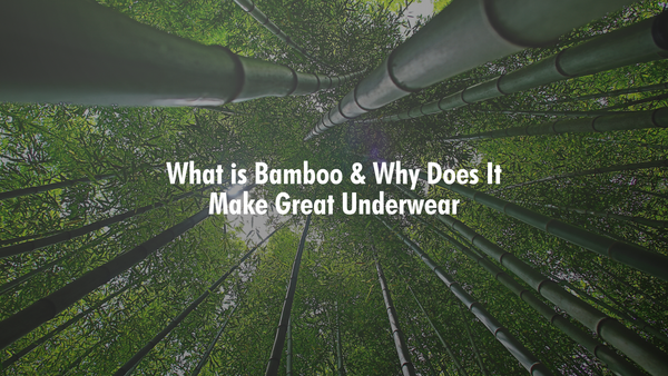 What Is Bamboo & Why Does It Make Great Underwear